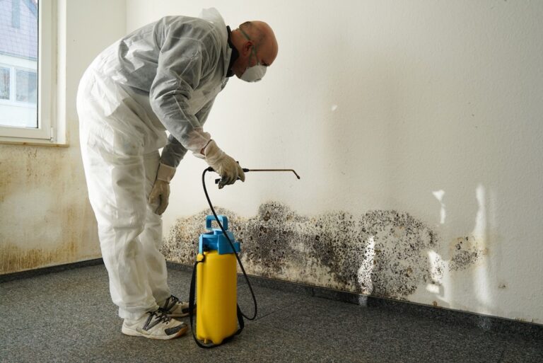 Mold Specialist